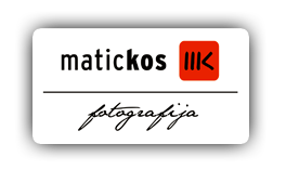 FotoLink